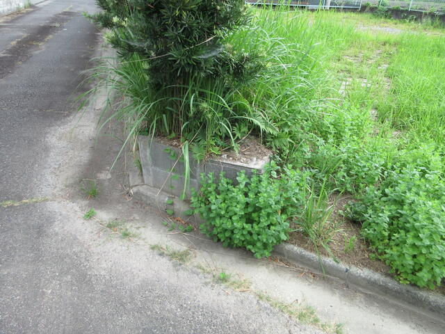 人吉市上薩摩瀬町｜売地の写真6