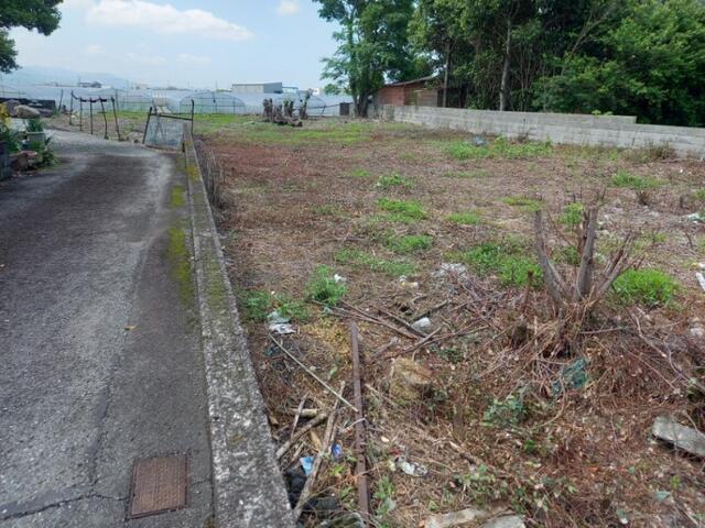 八代市鏡町下有佐｜売地の写真7