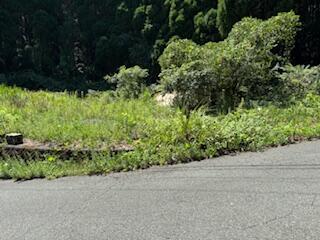 阿蘇郡南小国町大字赤馬場｜売地の写真5