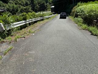 阿蘇郡南小国町大字赤馬場｜売地の写真4
