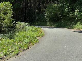 阿蘇郡南小国町大字赤馬場｜売地の写真3