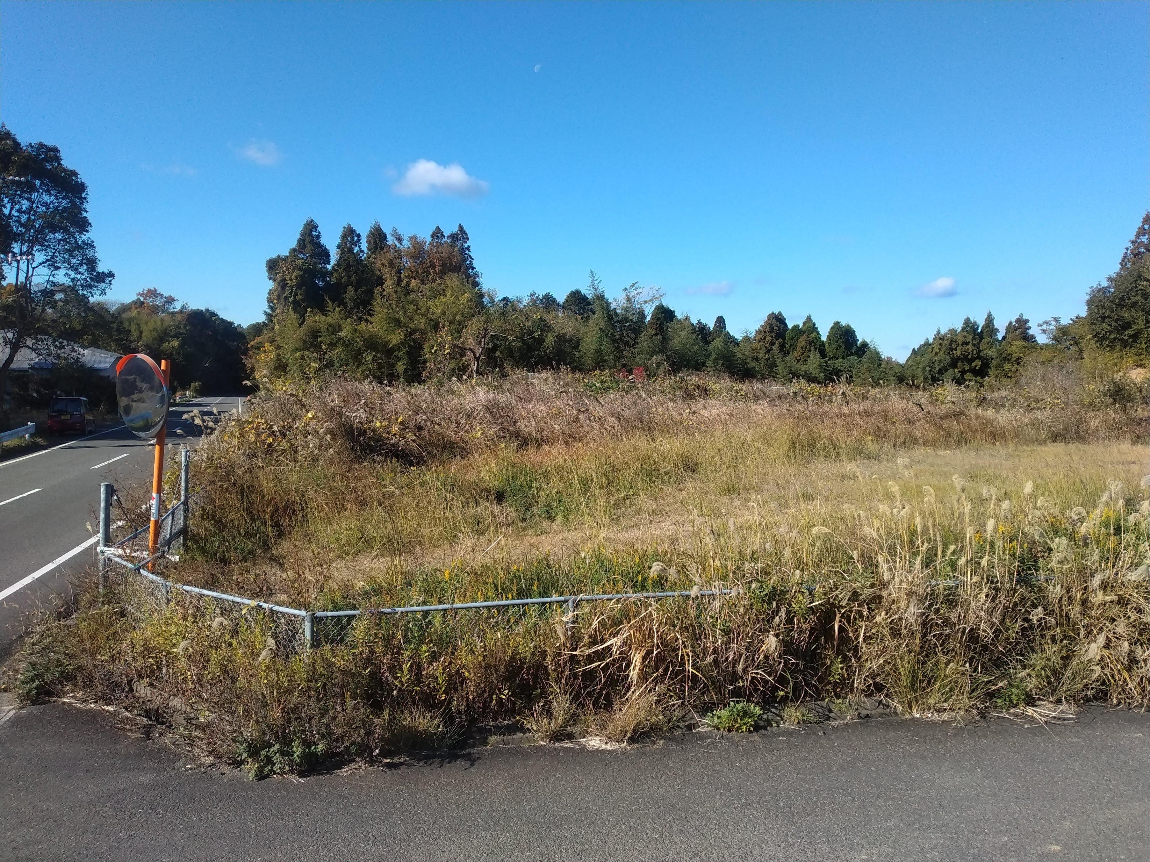 天草市佐伊津町｜売地の写真4