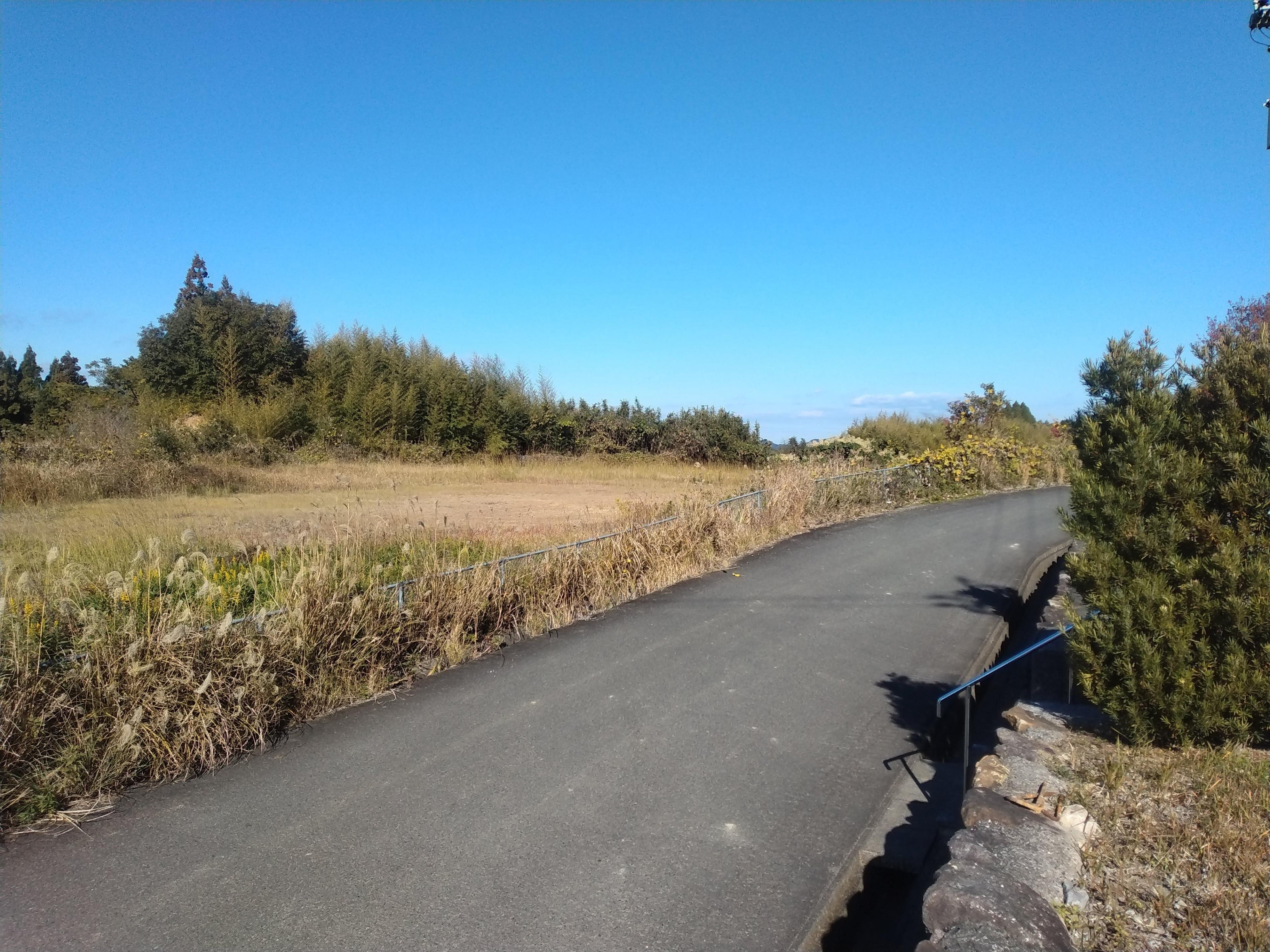天草市佐伊津町｜売地の写真3