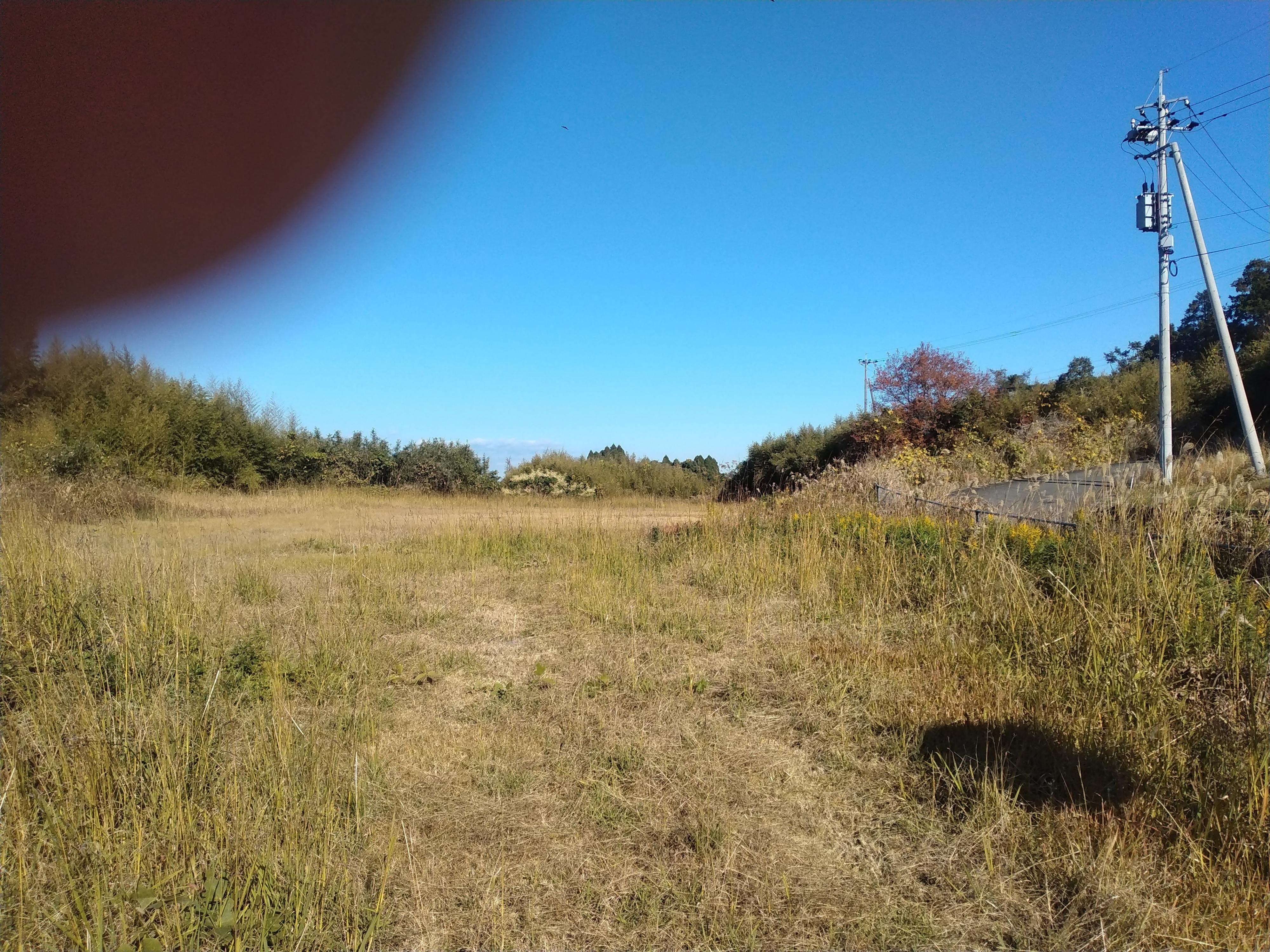 天草市佐伊津町｜売地の写真5