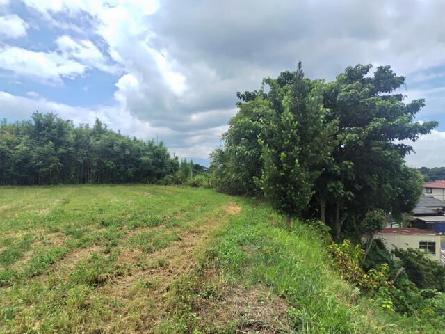 玉名郡長洲町大字折崎｜売地の写真8