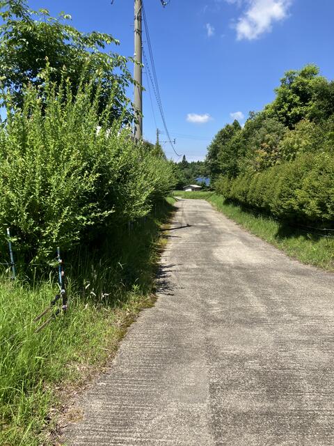 阿蘇郡高森町大字色見｜売地の写真3