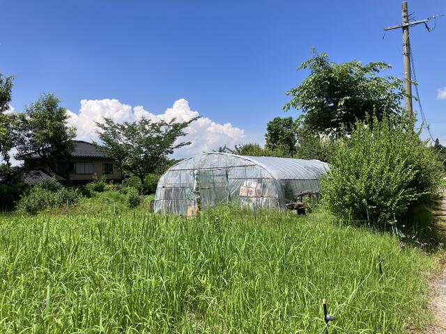 阿蘇郡高森町大字色見｜売地の写真2