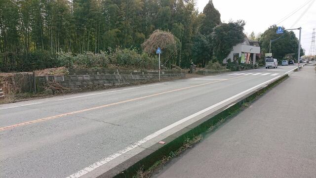 熊本市南区城南町東阿高|売地の写真11