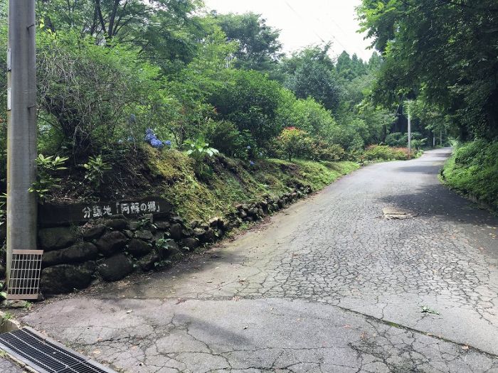 阿蘇郡高森町大字色見|売地の写真2