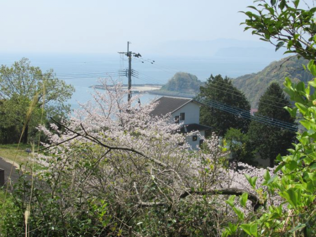 天草市栖本町古江｜売地の写真2
