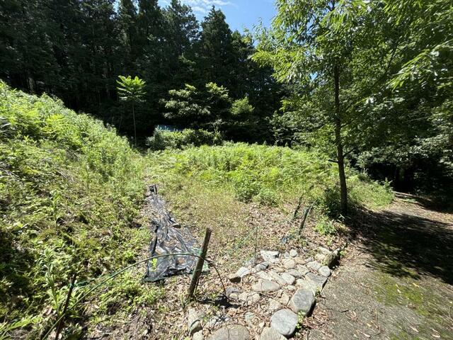 阿蘇郡西原村大字小森｜売地の写真9