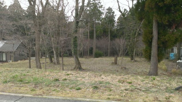 阿蘇市一の宮町宮地の売地