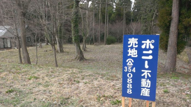 阿蘇市一の宮町宮地|売地の写真5