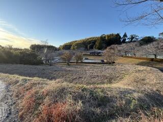 山鹿市鹿本町高橋｜売地の写真5