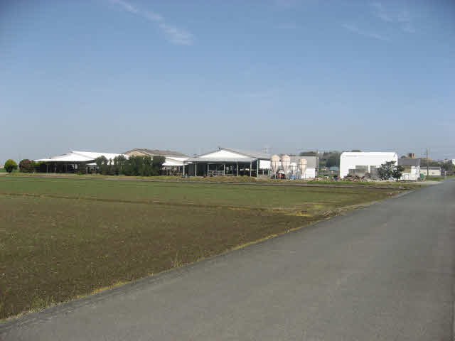 熊本市南区城南町隈庄のその他