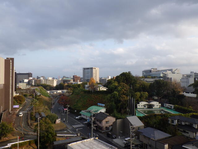熊本市中央区新町1丁目｜中古マンションの写真10