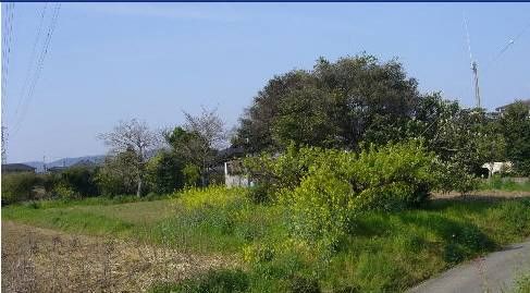 宇城市松橋町両仲間|売地の写真2