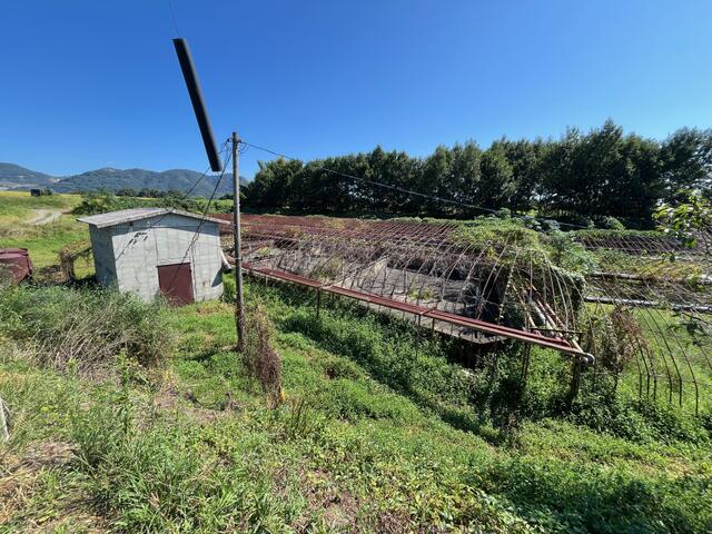 山鹿市中の売地