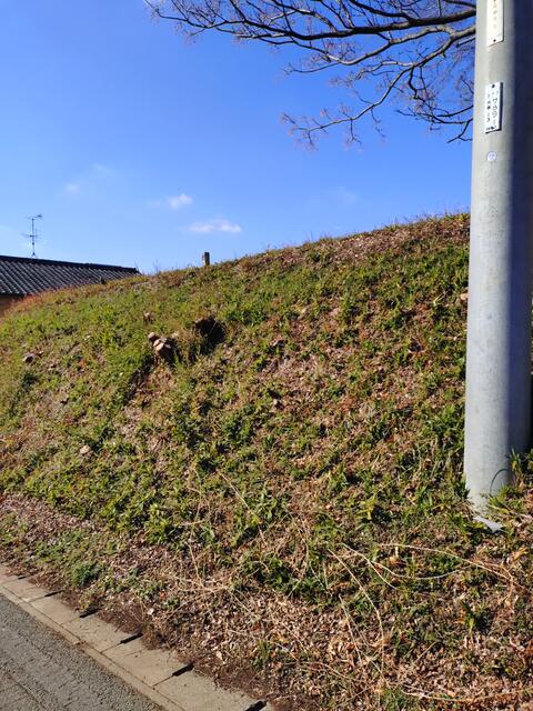 熊本市北区植木町轟｜売地の写真9
