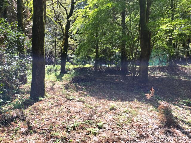 阿蘇郡南阿蘇村大字中松|売地の写真8