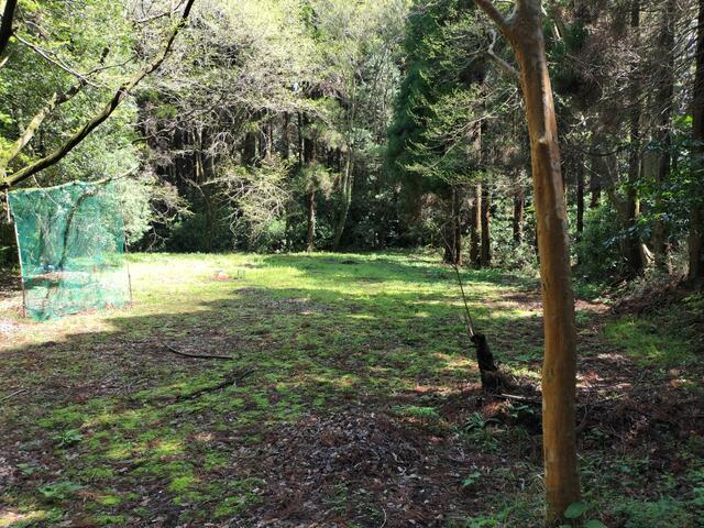 阿蘇郡南阿蘇村大字中松|売地の写真4
