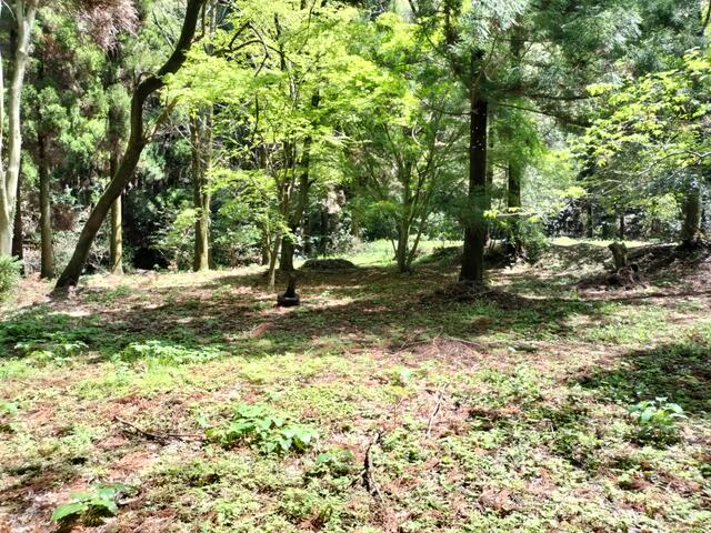 阿蘇郡南阿蘇村大字中松|売地の写真11