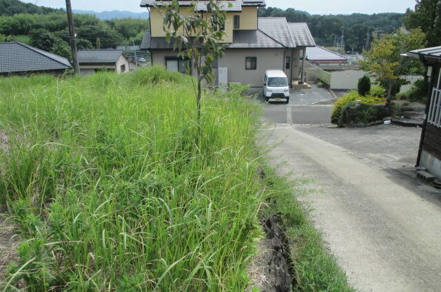 天草市本渡町広瀬|売地の写真5
