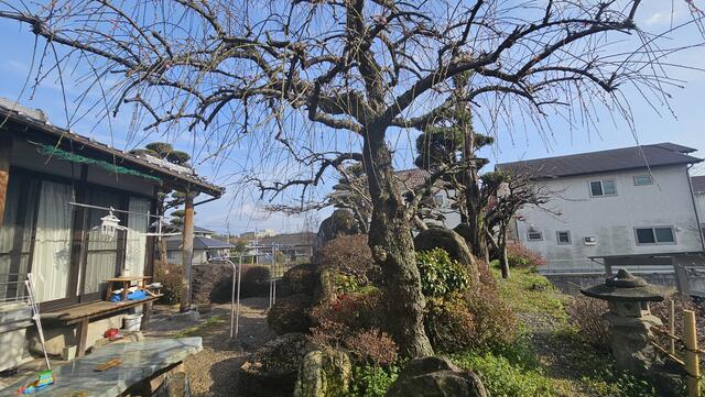 菊池郡菊陽町沖野2丁目｜中古一戸建の写真5