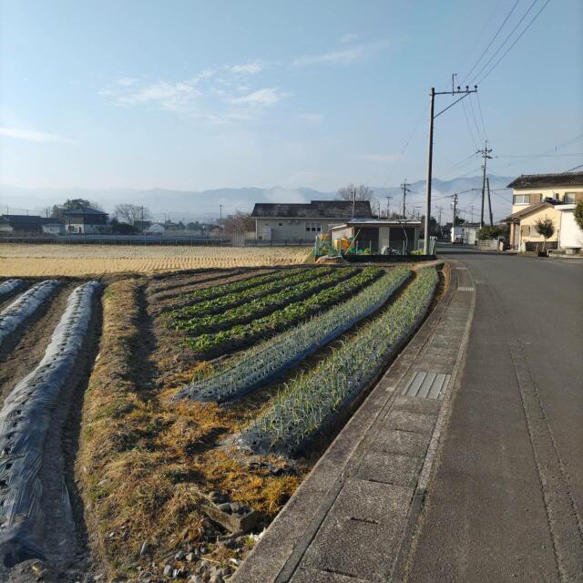 人吉市上林町｜売地の写真3