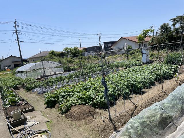 宇城市松橋町南豊崎｜売地の写真4
