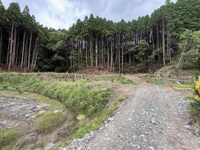 山鹿市鹿北町芋生｜售地的照片3