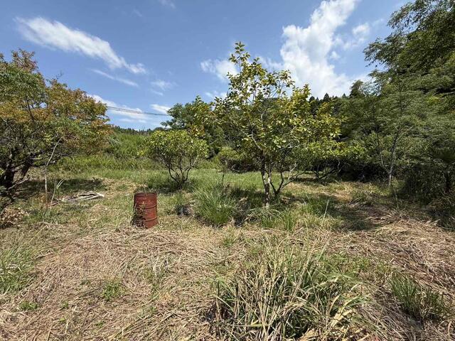 detached 熊本県八代郡氷川町早尾