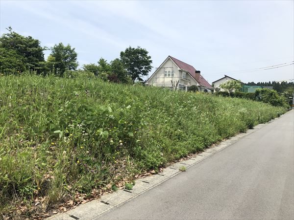 阿蘇郡南阿蘇村大字河陽｜売地の写真3