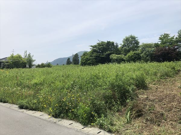 阿蘇郡南阿蘇村大字河陽｜売地の写真4