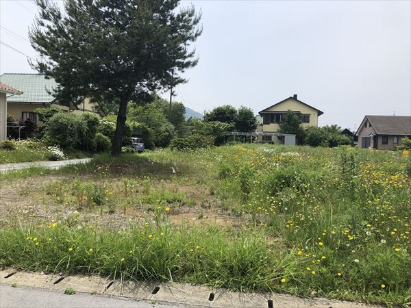 阿蘇郡南阿蘇村大字河陽｜売地の写真3