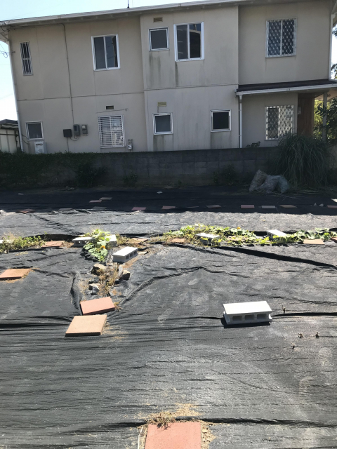 熊本市西区島崎2丁目｜売地の写真5