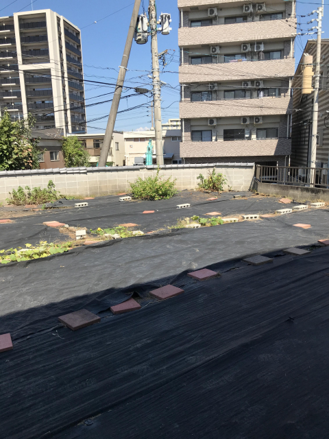 熊本市西区島崎2丁目｜売地の写真4