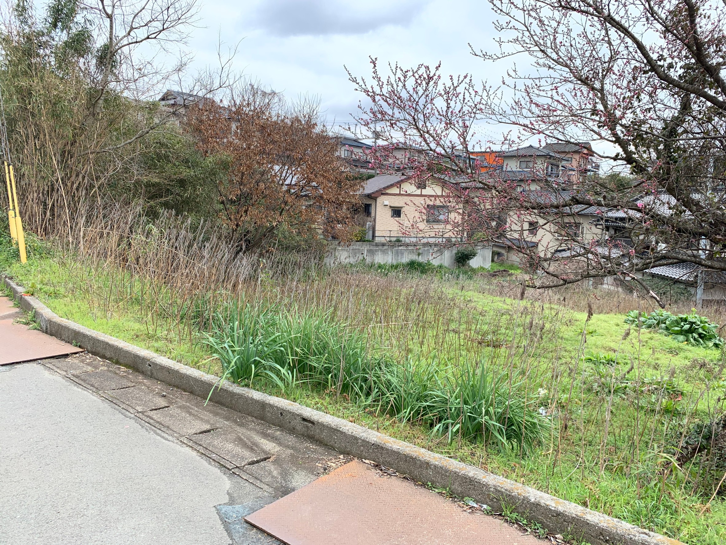 熊本市西区池田2丁目｜売地の写真3