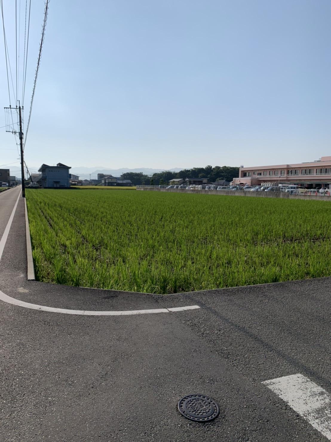 八代市郡築一番町｜売地の写真1