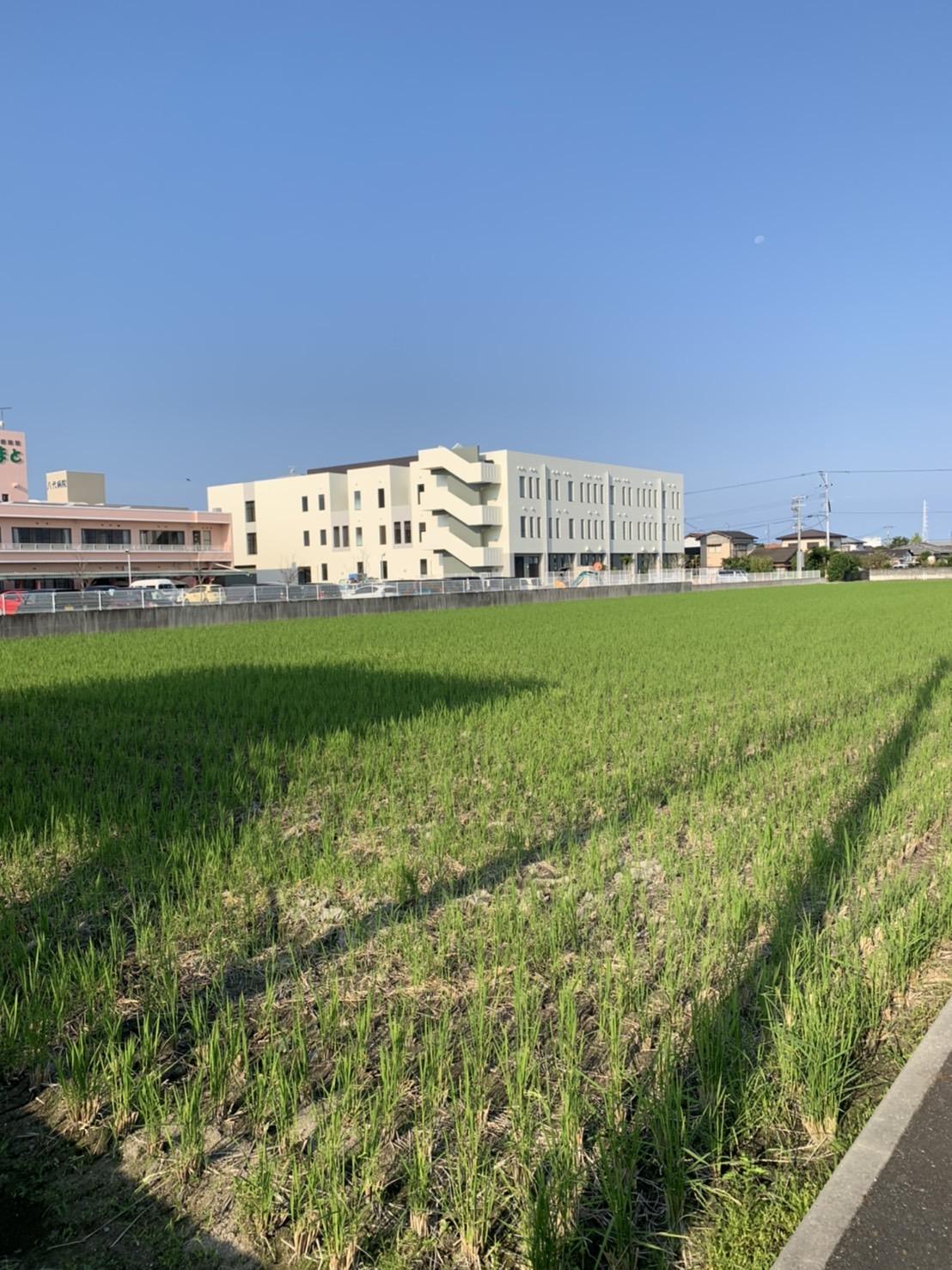 八代市郡築一番町｜売地の写真2