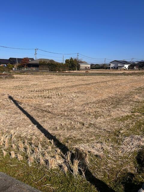 八代市鏡町下村の売地