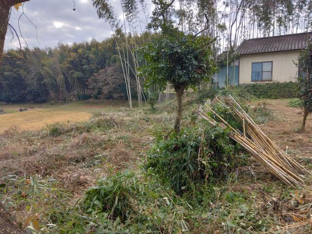 合志市栄｜売地の写真12