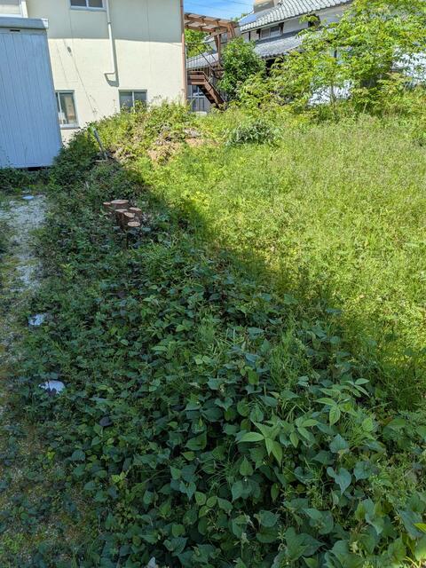 山鹿市鹿央町合里｜売地の写真8