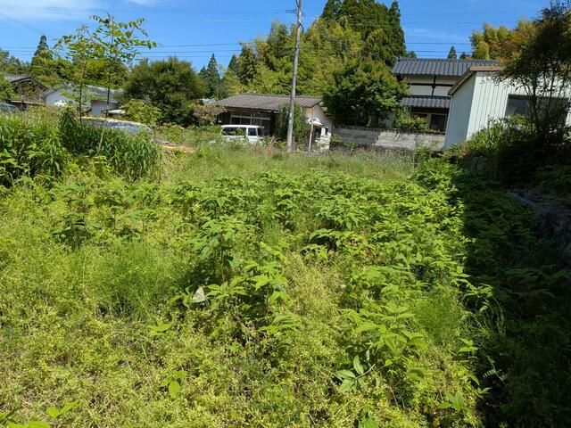 山鹿市鹿央町合里｜売地の写真2