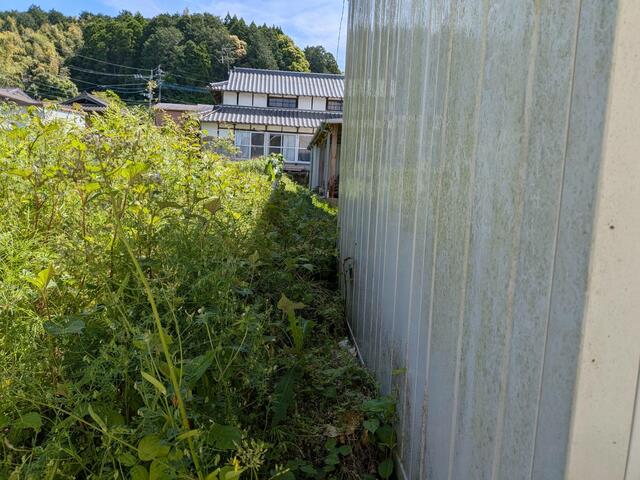 山鹿市鹿央町合里｜売地の写真5