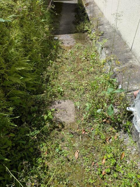 山鹿市鹿央町合里｜売地の写真6