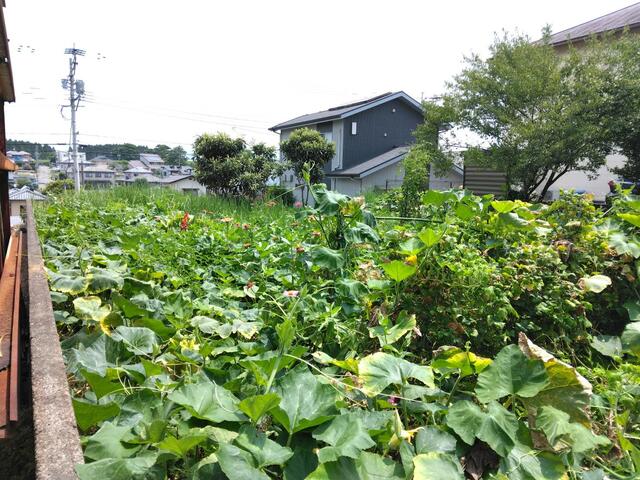 菊池市泗水町永｜売地の写真4