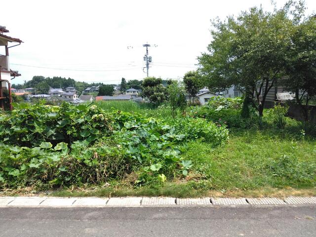 菊池市泗水町永の売地