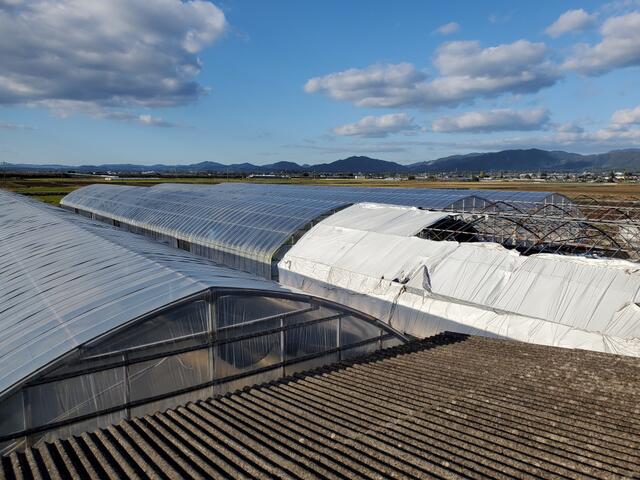 菊池市七城町橋田｜その他の写真6