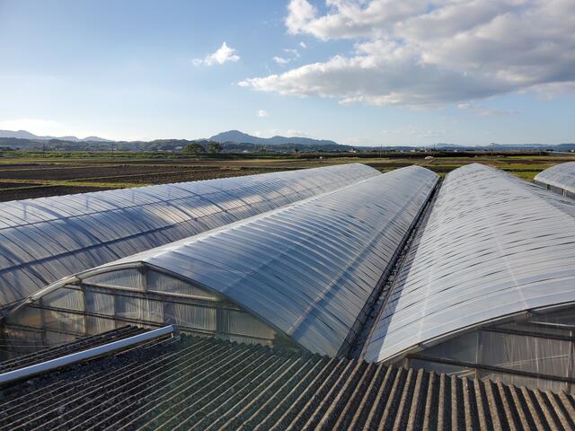 菊池市七城町橋田｜その他の写真5